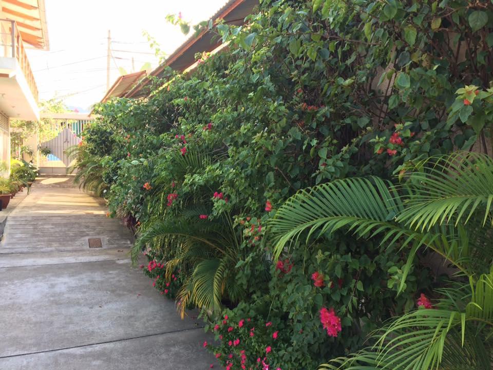 タラポト La Casa Del Italiano Bed & Breakfast エクステリア 写真